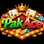 pakace game