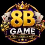 8B Game