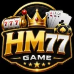 HM77 Game